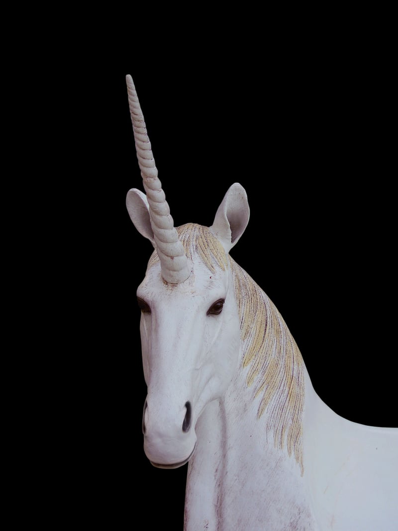 Unicorn Blossom